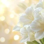 Parks Hutcheson Leonard Obituary, Cause of Death – Greenville Community Mourns Beloved Resident